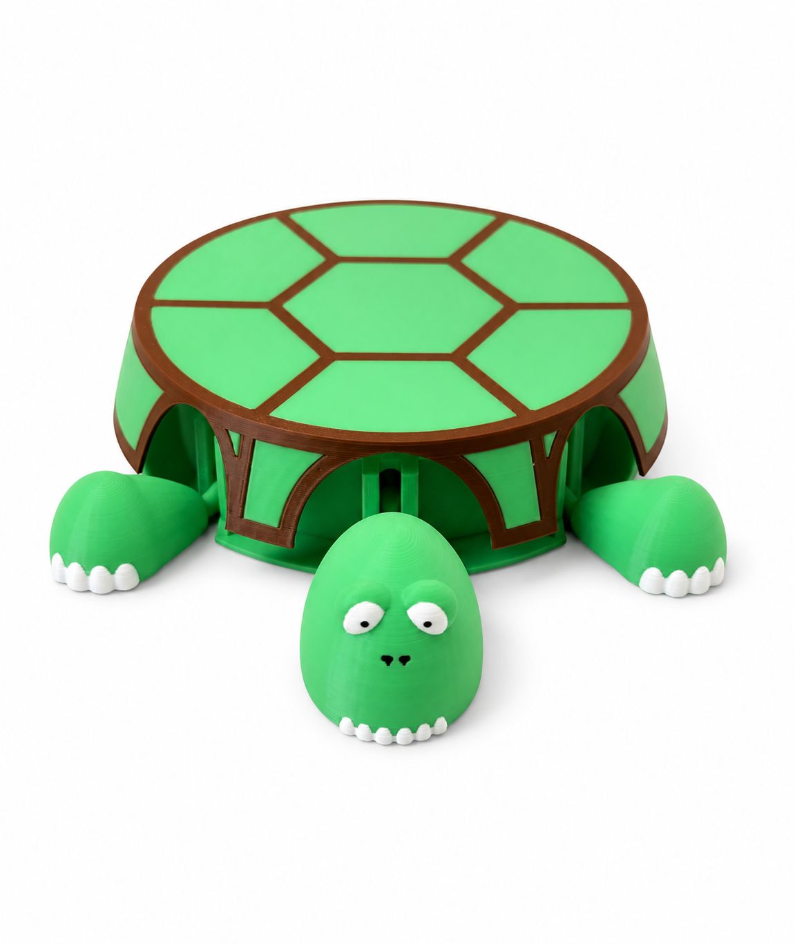 Turtle Cup Fidget